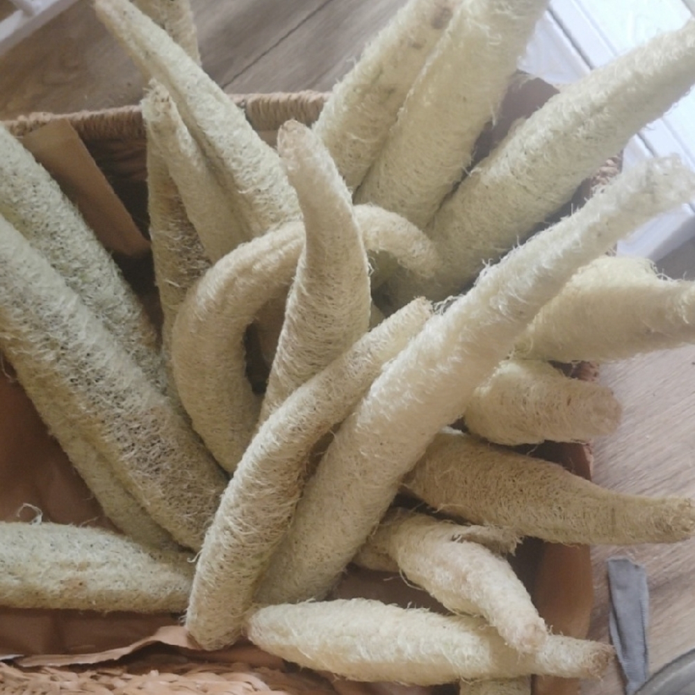 Natural Loofah Sponges for Bath And Kitchen